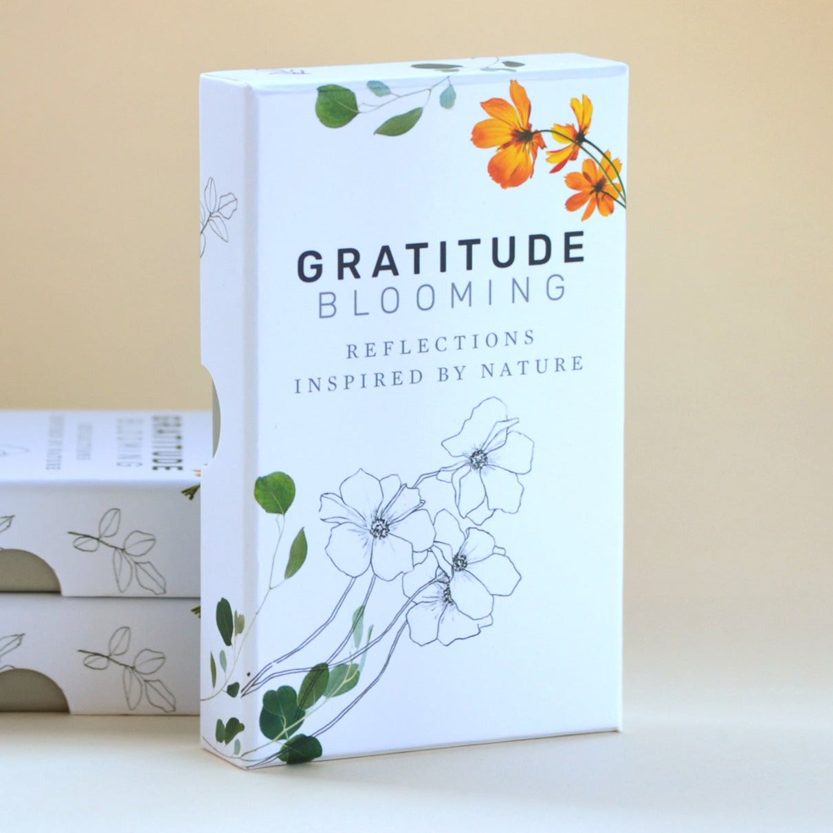 Encouragement Card Decks - bloom daily planners