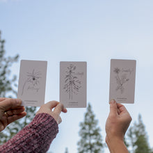 Load image into Gallery viewer, Gratitude Blooming Reflection Card Deck/Bulk Orders