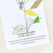 Load image into Gallery viewer, Boxed Notecard Set - The Garden of Curiosity