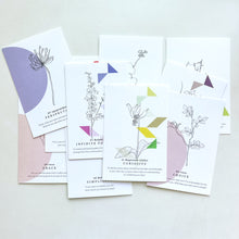 Load image into Gallery viewer, Boxed Notecard Set - The Garden of Curiosity