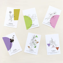 Load image into Gallery viewer, Boxed Notecard Set  - The Garden of Fearless Gratitude