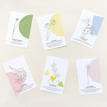 Load image into Gallery viewer, Boxed Notecard Set - The Garden of Healing