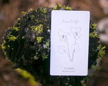 Load image into Gallery viewer, Gratitude Blooming Reflection Card Deck
